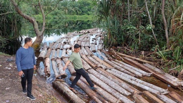 Polda Riau Tangkap Anak Jenderal  Terkait Mafia Illegal Logging